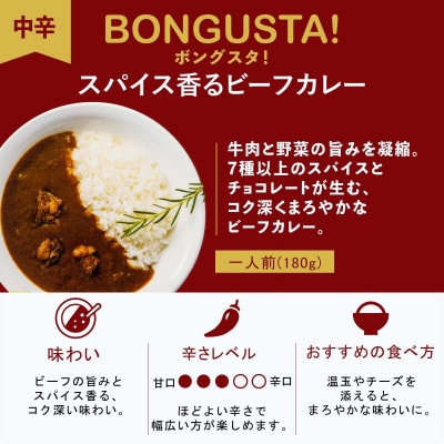 レトルト カレー 3種6個 「ボングスタ!」