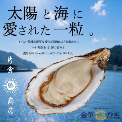 金華かき 女川オイスターファーム ラージサイズ 生食可 
