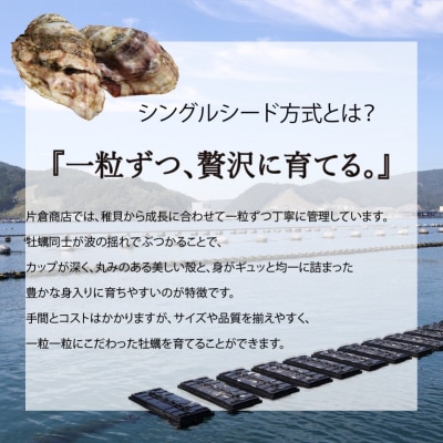 金華かき 女川オイスターファーム ラージサイズ 生食可 