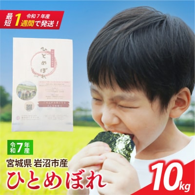【令和7年産】 宮城県産 ひとめぼれ 10kg 精米