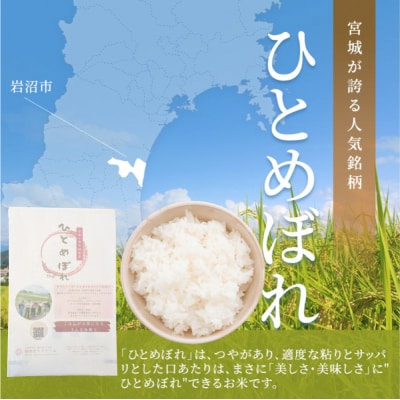 【令和7年産】 宮城県産 ひとめぼれ 10kg 精米