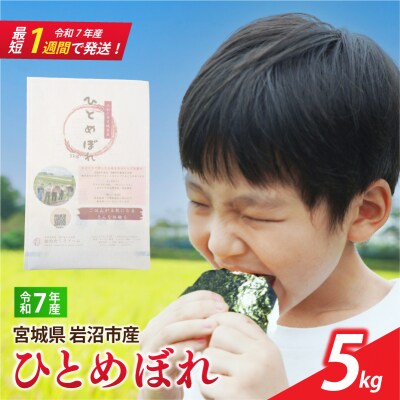 【令和7年産】 宮城県産 ひとめぼれ 5kg 精米