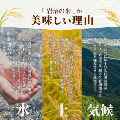 【令和7年産】 宮城県産 ひとめぼれ 5kg 精米
