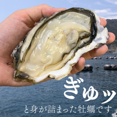 殻付き牡蠣 生食可10kg 南三陸 宮城 女川 岩沼市