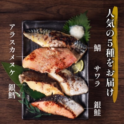 西京漬け 5種 セット 冷凍 計5切