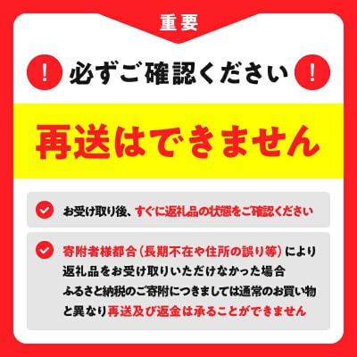 ハーゲンダッツアイスクリーム　3種の贅沢ギフト_100307
