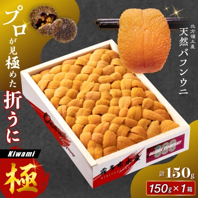 折うに 150g うに バフンウニ_H0014-128