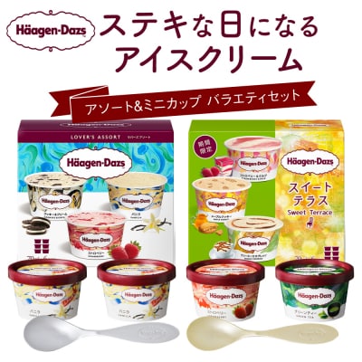 【金と銀のスプーン同梱】ハーゲンダッツアイスクリーム　アソート&ミニカップ　バラエティセット | ふるさと納税のお礼品