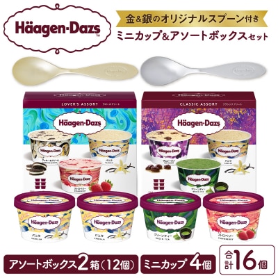 【金と銀のスプーン同梱】ハーゲンダッツアイスクリーム　バラエティセット_H0026-025