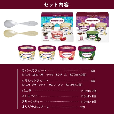 【金と銀のスプーン同梱】ハーゲンダッツアイスクリーム　バラエティセット_H0026-025