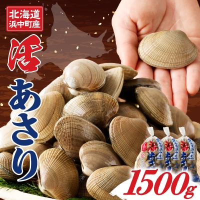 1月～3月発送分《先行受付・期間限定》浜中町産活あさり(500g×3袋セット)_230106-01