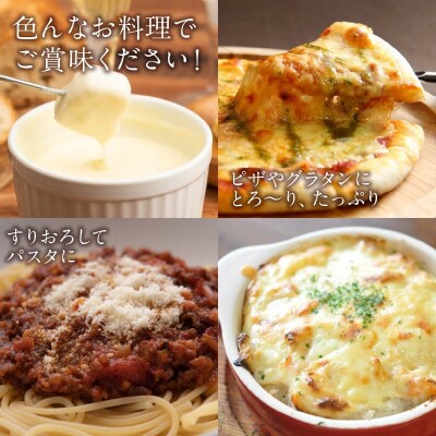 【おおともチーズ工房】《人気No1》定番の手造りナチュラルチーズ詰め合わせ_H0003-102