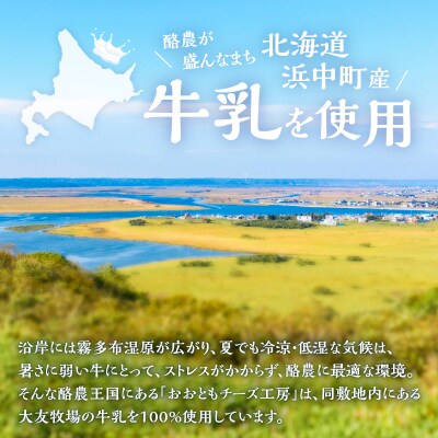 【おおともチーズ工房】《人気No1》定番の手造りナチュラルチーズ詰め合わせ_H0003-102