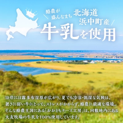 【おおともチーズ工房】《人気No1》定番の手造りナチュラルチーズ詰め合わせ_H0003-144