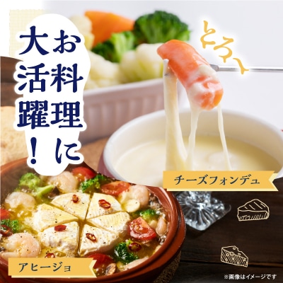 【おおともチーズ工房】《人気No1》定番の手造りナチュラルチーズ詰め合わせ_H0003-102