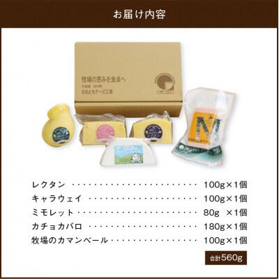 【おおともチーズ工房】《人気No1》定番の手造りナチュラルチーズ詰め合わせ_H0003-102