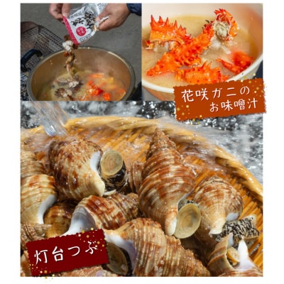 『漁師おすすめ富士丸セット(合計5種)』北海道浜中町産_230401