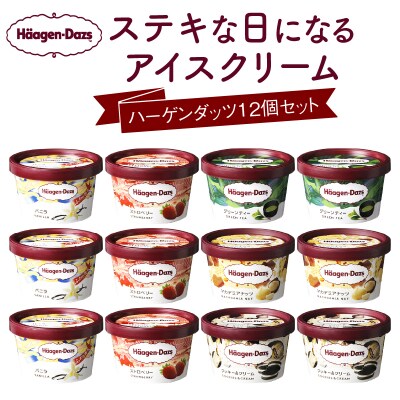 北海道浜中町の牛乳使用!ハーゲンダッツ　12個セット | ふるさと納税のお礼品