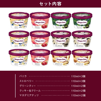 【着日指定できます】 ハーゲンダッツ『定番ミニカップ12個セット』アイスクリーム_H0016-111