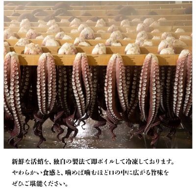 煮たこ足(約1kg×2本)_220303