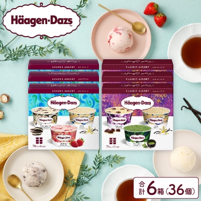【着日指定できます!!】ハーゲンダッツアソートボックスセット_H0016-124