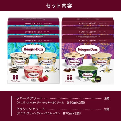 【着日指定できます!!】ハーゲンダッツアソートボックスセット_H0016-124