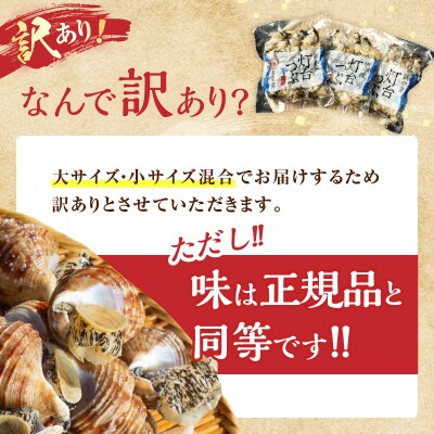 【訳あり】北海道浜中産　灯台つぶ(ボイルむき身)　300g×5パック_H0023-058