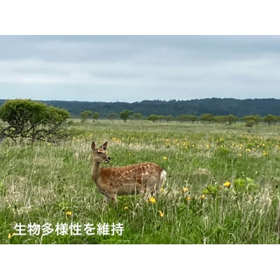 霧多布湿原を中心とする環境保全活動への寄附_270201