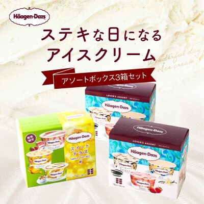 ハーゲンダッツ アイスクリーム アソート ボックス 3箱 | ふるさと納税のお礼品