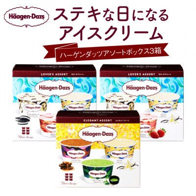 【限定】ハーゲンダッツ バラエティセット | ふるさと納税のお礼品