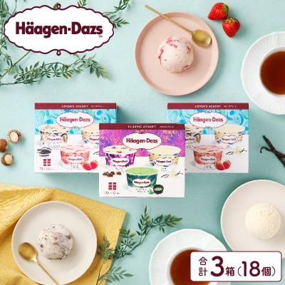 【着日指定できます!!】 ハーゲンダッツ バラエティセット_H0016-110