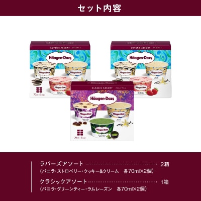【着日指定できます!!】 ハーゲンダッツ バラエティセット_H0016-110