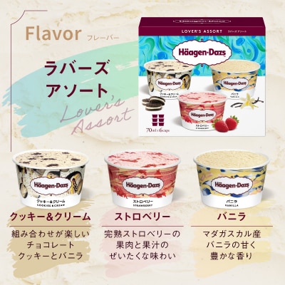 【着日指定できます!!】 ハーゲンダッツ バラエティセット_H0016-110