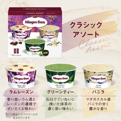 【着日指定できます!!】 ハーゲンダッツ バラエティセット_H0016-110