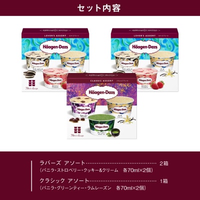 【着日指定できます!!】 ハーゲンダッツ バラエティセット_H0016-110