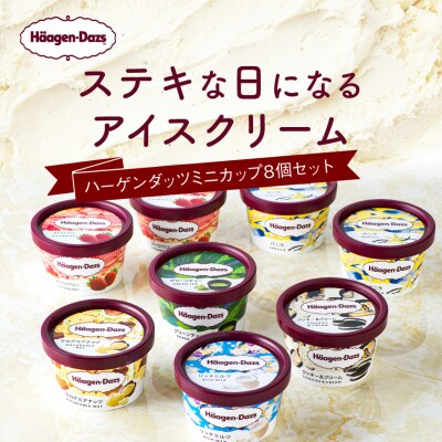 ハーゲンダッツ アイスクリーム ミニカップ 8個　HD40