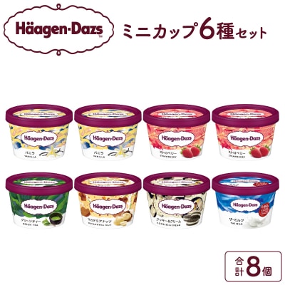 ハーゲンダッツ『定番ミニカップ8個セット』アイスクリーム_H0016-104
