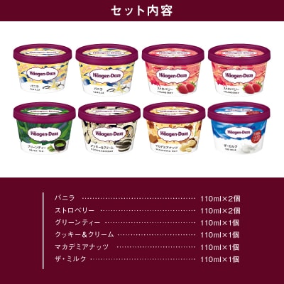ハーゲンダッツ『定番ミニカップ8個セット』アイスクリーム_H0016-104