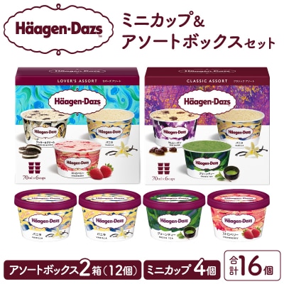 ハーゲンダッツ バラエティセット(アソート&ミニカップ)_H0026-026