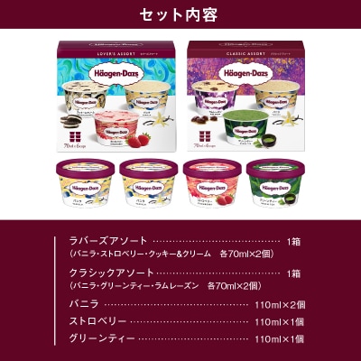ハーゲンダッツ バラエティセット(アソート&ミニカップ)_H0026-026