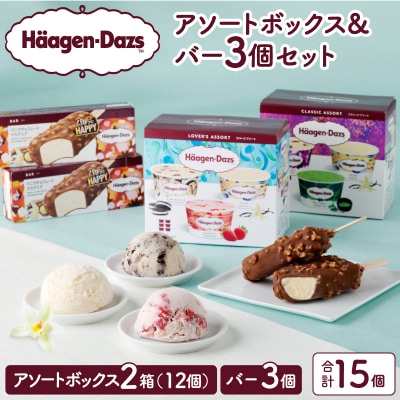 ハーゲンダッツバラエティセット(アソート&バー3本)_H0026-027
