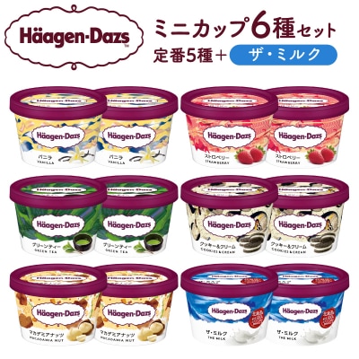 ハーゲンダッツ『ミニカップ12個セット(定番フレーバー&ザ・ミルク味)』_H0016-112