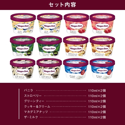 ハーゲンダッツ『ミニカップ12個セット(定番フレーバー&ザ・ミルク味)』_H0016-112