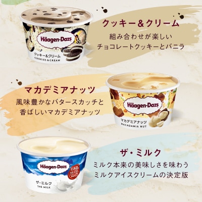 ハーゲンダッツ『ミニカップ12個セット(定番フレーバー&ザ・ミルク味)』_H0016-1121