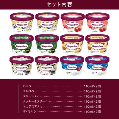 ハーゲンダッツ『ミニカップ12個セット(定番フレーバー&ザ・ミルク味)』_H0016-112