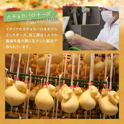 【北海道チーズ工場のピザ】チーズたっぷりの厳選ピザの詰め合わせ_H0003-110