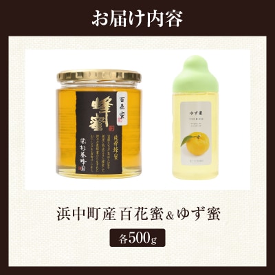 【数量限定】国産百花蜜(500g×1瓶)&果汁入りゆず蜜(500g×1本)_H0031-102