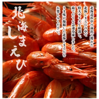 北海しまえび(特大)500g_220304