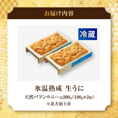 ≪氷温熟成≫生折うに(天然バフンウニ)　100g×2枚_H0009-102