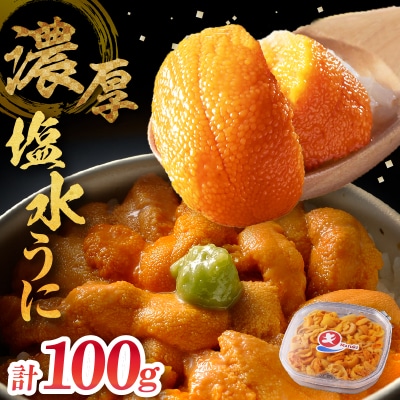 ≪氷温熟成≫塩水うに(天然バフンウニ)　100g×1パック_H0009-103
